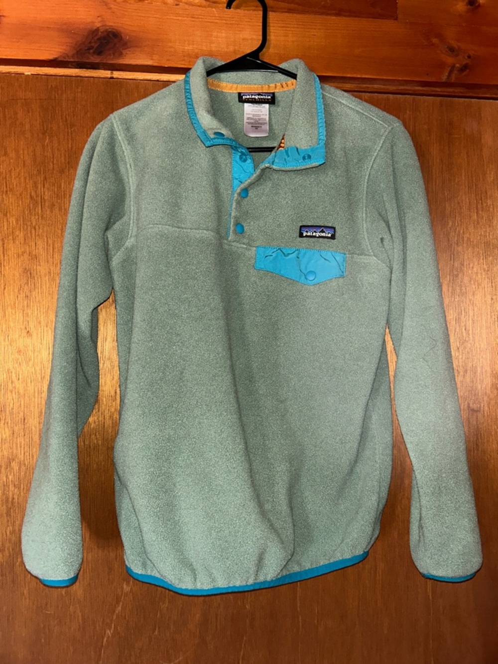 Patagonia Seafoam Fleece Pullover with Teal Accents